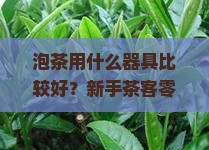 泡茶用什么器具比较好