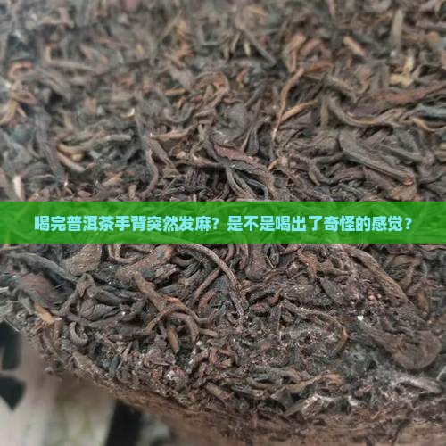 喝完普洱茶手背发麻怎么回事