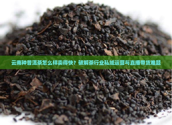 云南种普洱茶怎么样卖的快