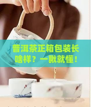 普洱茶正箱包装是什么样的
