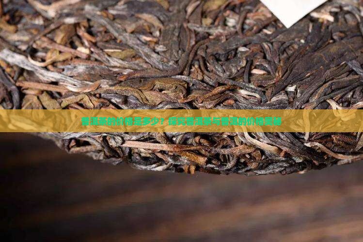 普洱茶tea12