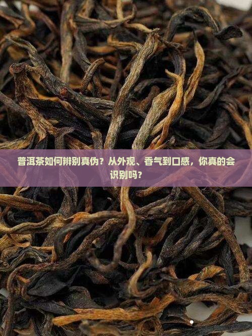 怎样识别是不是普洱茶
