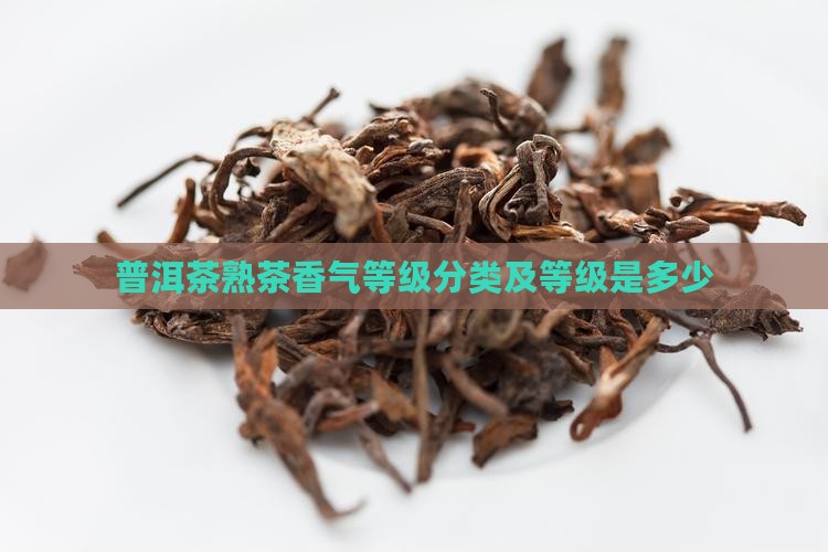 普洱茶熟茶香气等级
