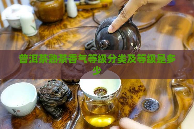 普洱茶熟茶香气等级