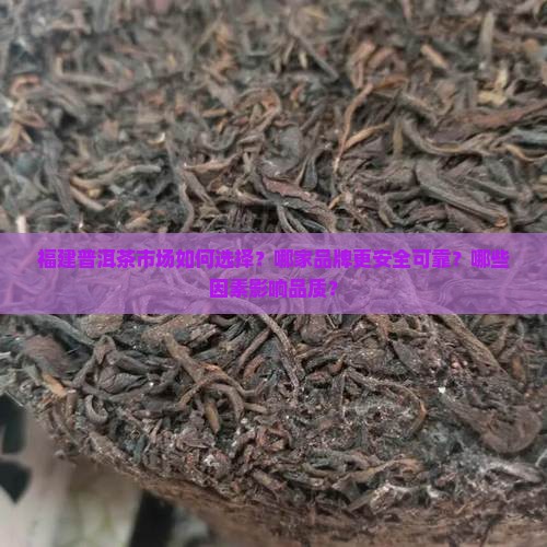 福建普洱茶哪家安全性高