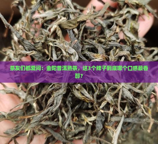 金陀普洱茶熟茶哪个牌子好