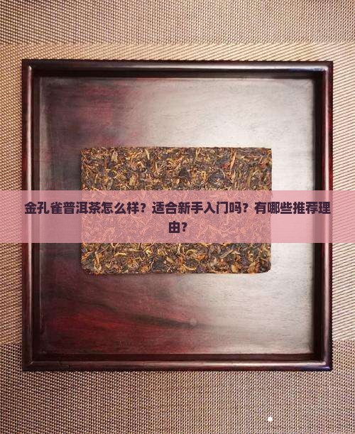 金孔雀普洱茶推荐