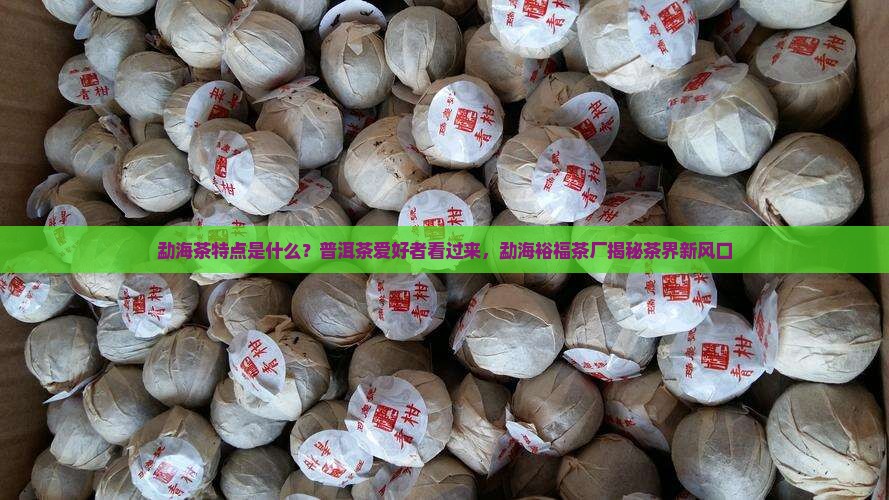 勐海茶特点勐海裕福茶厂