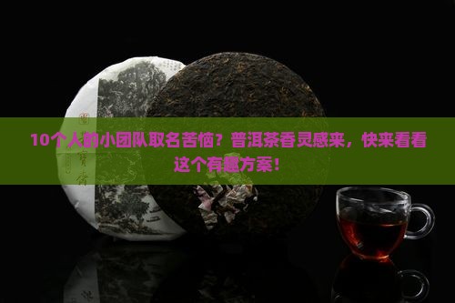 普洱茶团队名字