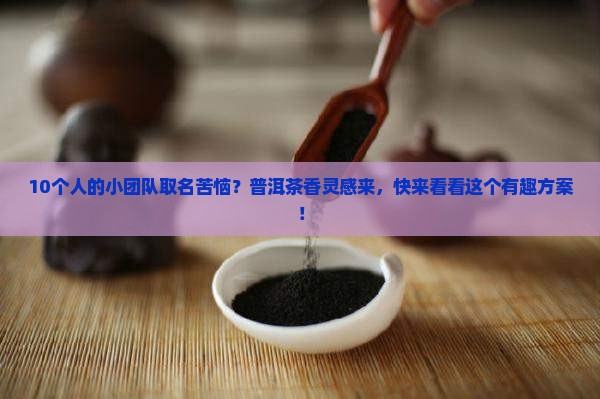 普洱茶团队名字