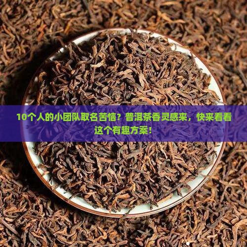 普洱茶团队名字