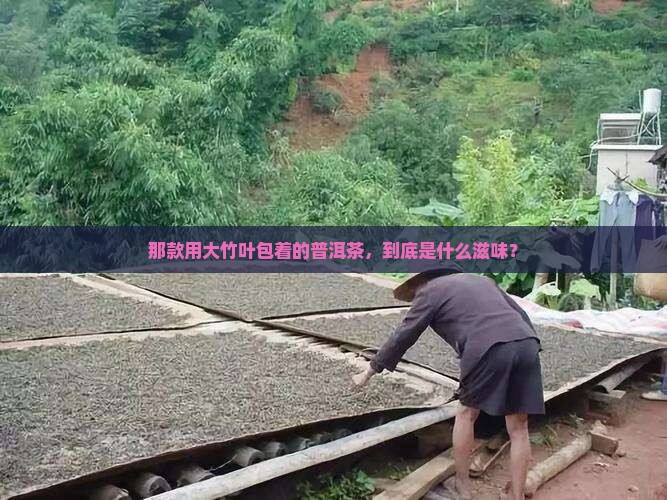 大竹叶包装的普洱茶