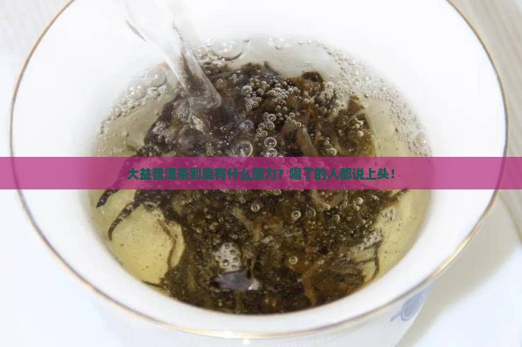 大益普洱茶是做什么的