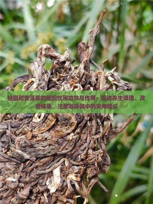 桂圆和普洱茶的功效
