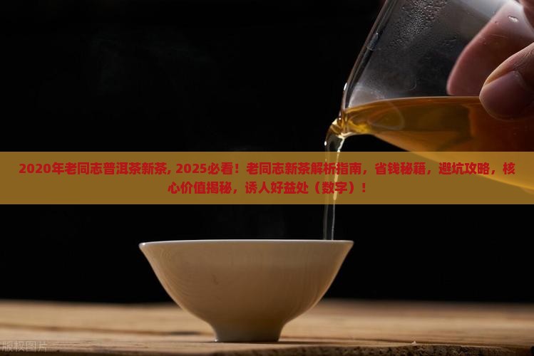 2020年老同志普洱茶新茶