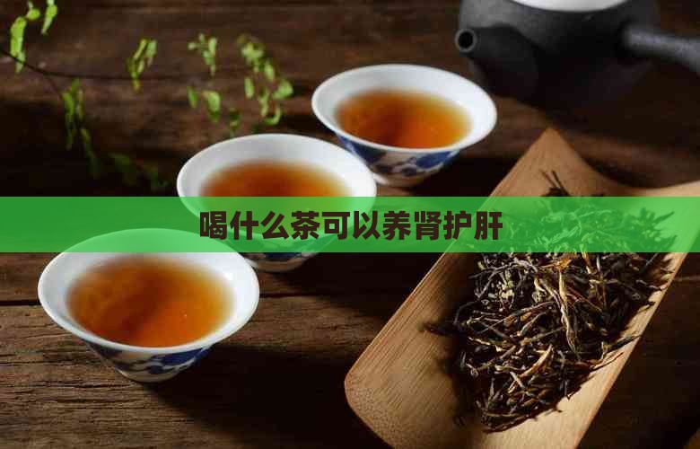喝什么茶可以养肾护肝