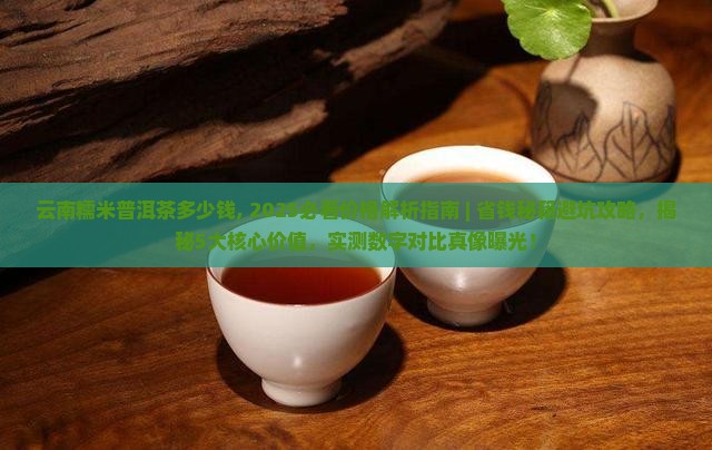 云南糯米普洱茶多少钱