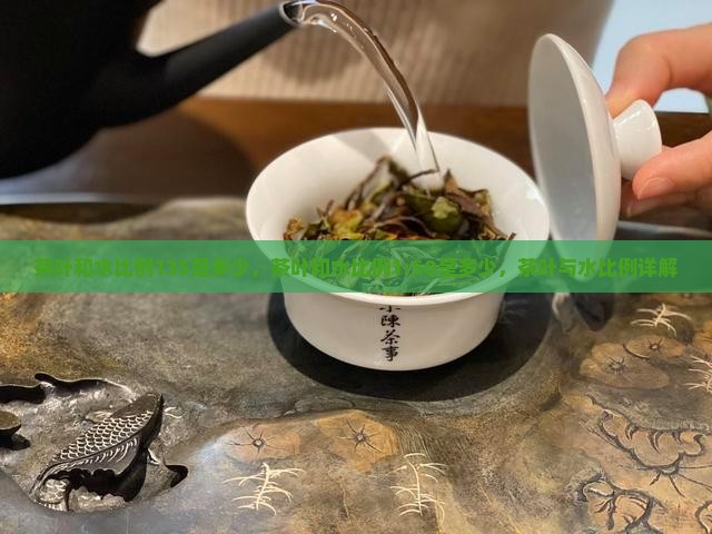 茶叶和水比例135是多少