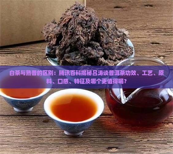 白茶与熟普的区别
