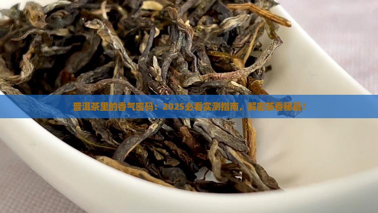 普洱茶中的茶香