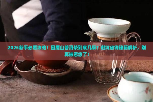 困鹿山普洱茶属于几级茶