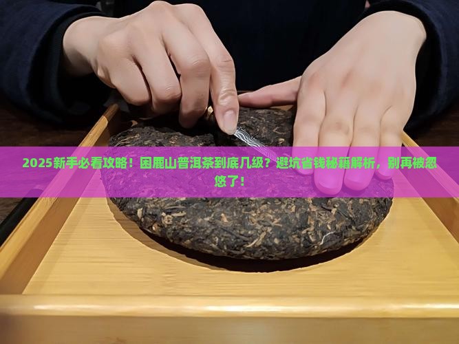 困鹿山普洱茶属于几级茶