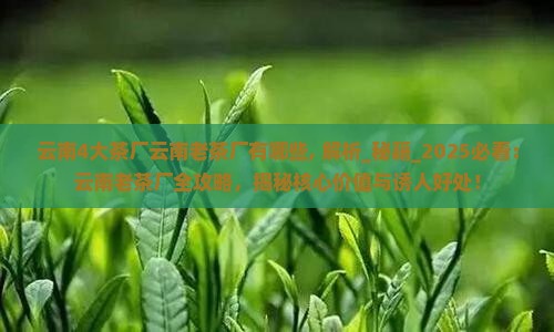 云南4大茶厂云南老茶厂有哪些