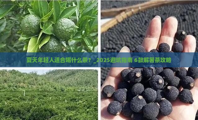 夏天年轻人适合喝什么茶