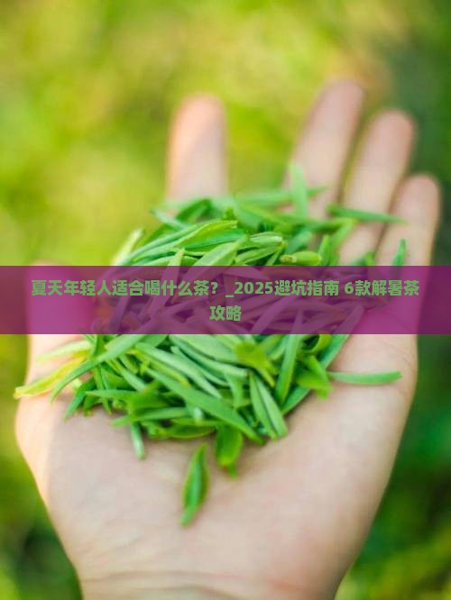 夏天年轻人适合喝什么茶