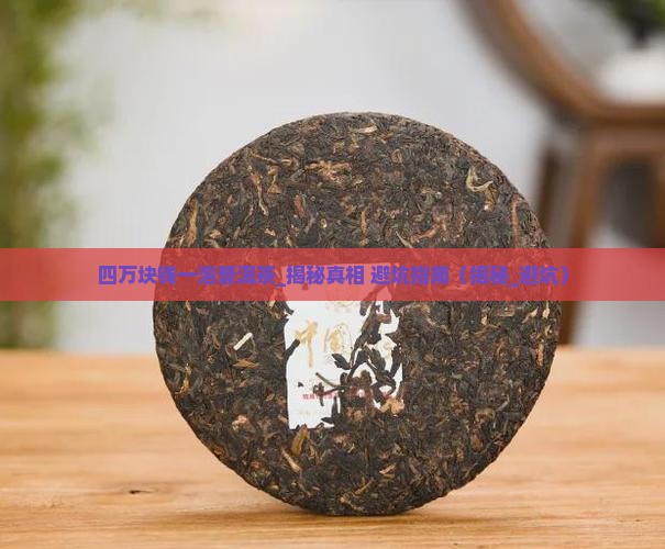 四万块钱一泡普洱茶