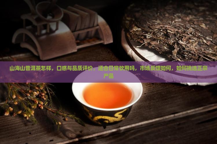 山海山普洱茶怎样