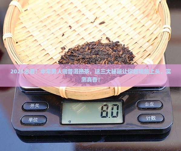 中年男人喝普洱茶熟茶