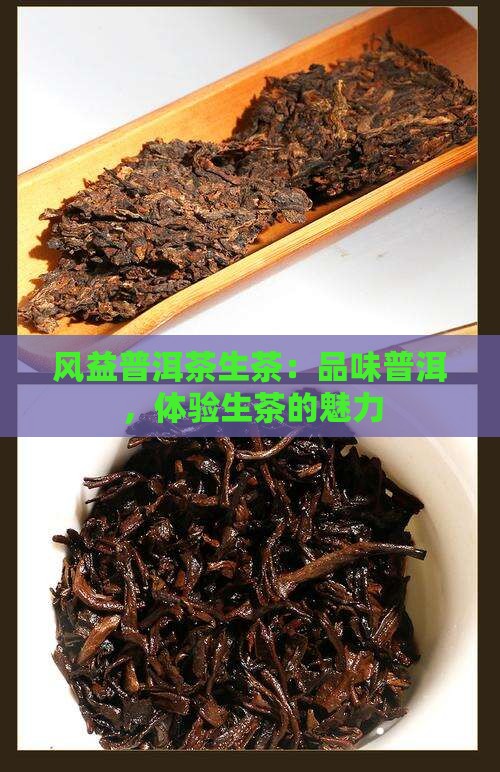 风益普洱茶生茶