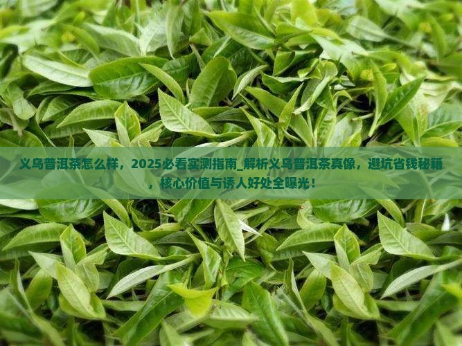 义乌普洱茶怎么样