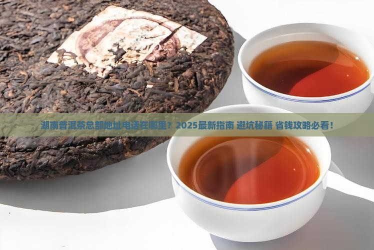 湖南普洱茶总部地址电话