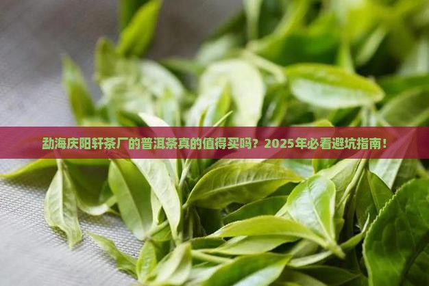 勐海庆阳轩茶厂的普洱茶怎么样