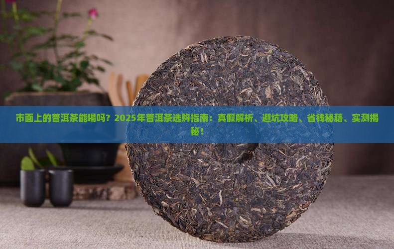 市面上的普洱茶能喝吗 市面上的普洱茶能喝吗