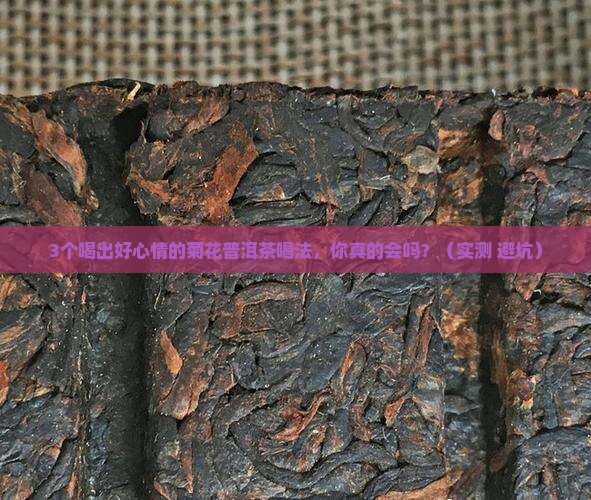 小袋装菊花普洱茶