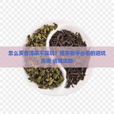 怎么购买藏存储普洱茶