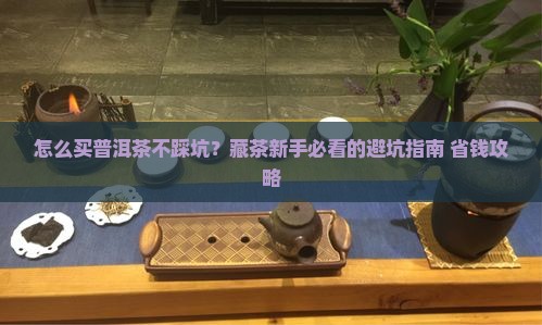 怎么购买藏存储普洱茶