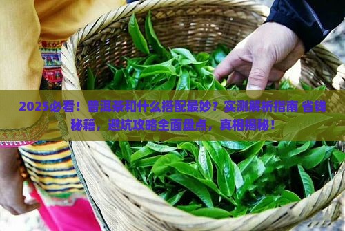 关于普洱茶和什么泡