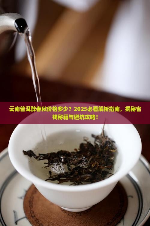 云南普洱醉春秋价格