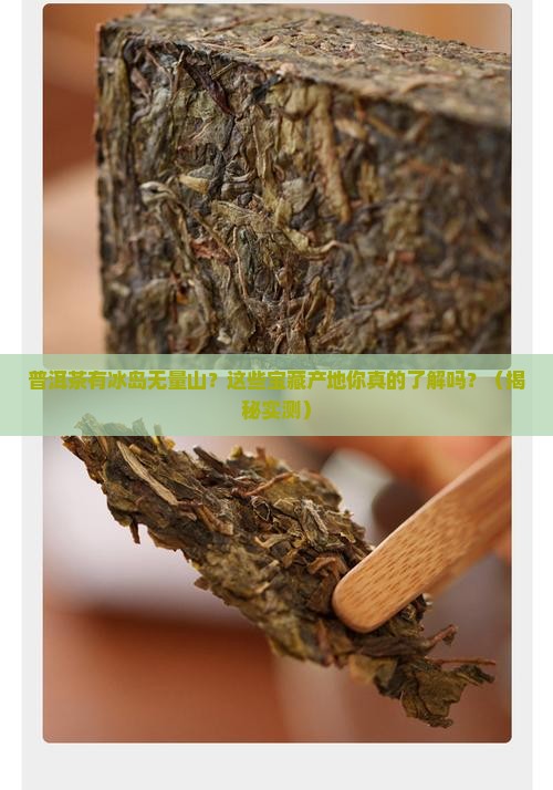 普洱茶有冰岛无量山等