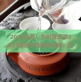 古树普洱茶2021春茶价格