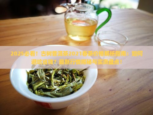 古树普洱茶2021春茶价格