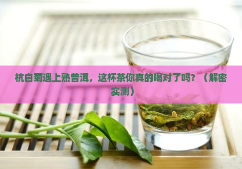杭白菊熟普洱茶