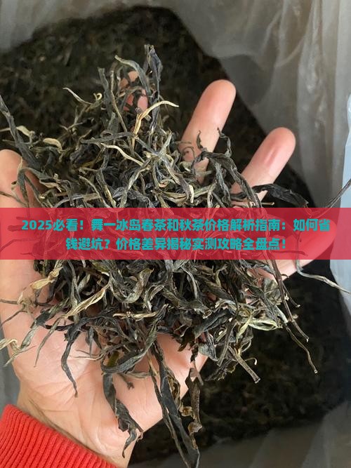 舞一冰岛春茶和秋茶的价格