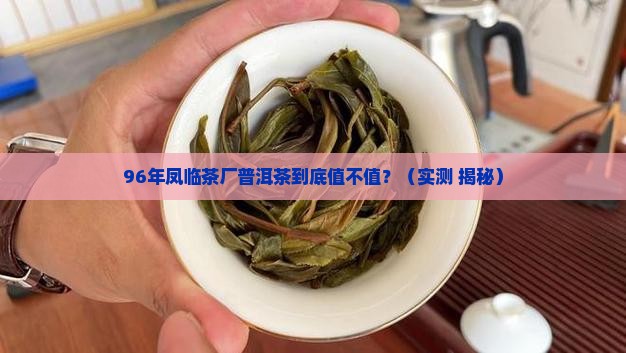 96年凤临茶厂普洱茶