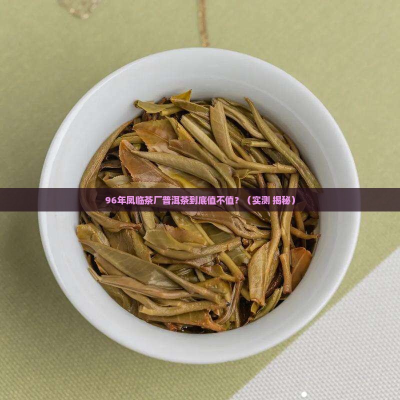 96年凤临茶厂普洱茶