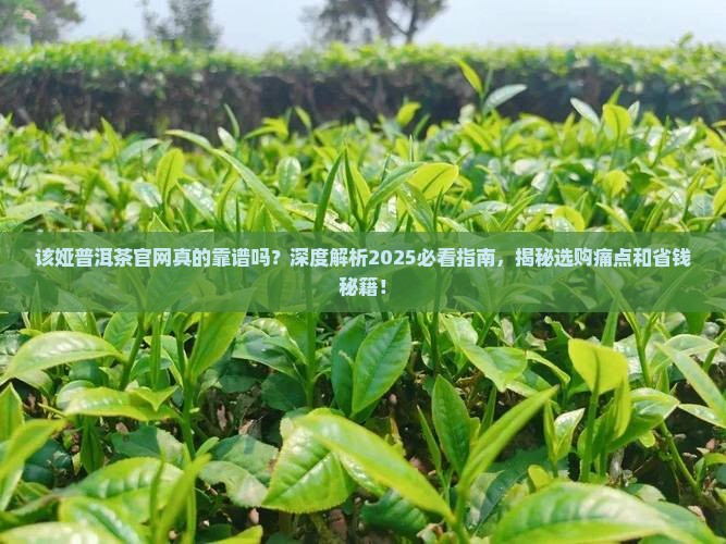 该娅普洱茶官网